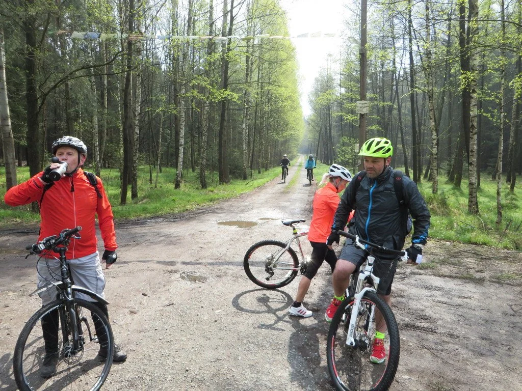 Skupina cyklistů na lesní cestě mezi břízami
