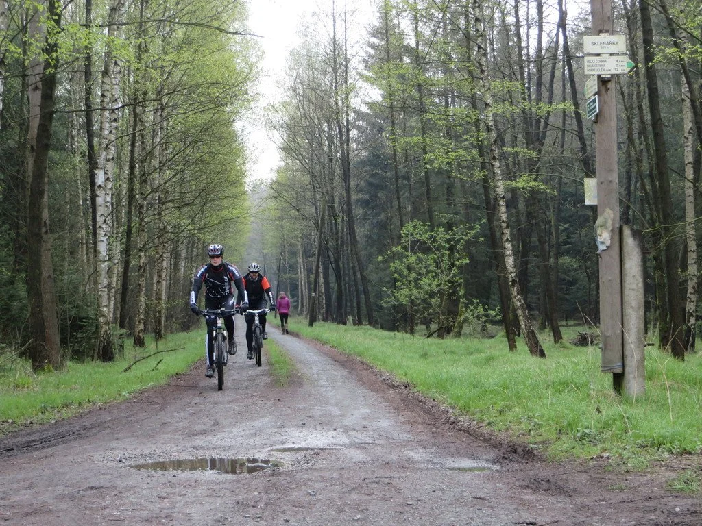Cyklisté projíždějí lesní cestou u rozcestníku Sklenářka