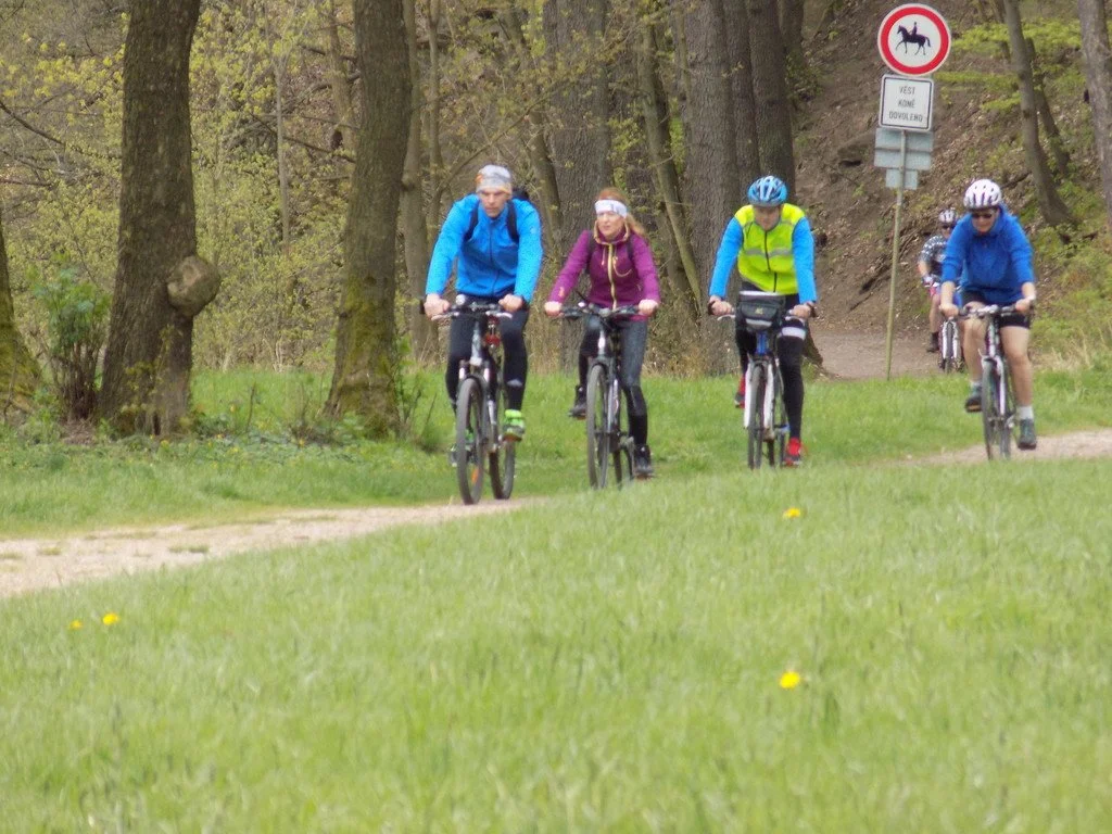 Cyklisté v helmách projíždějí lesní cestou