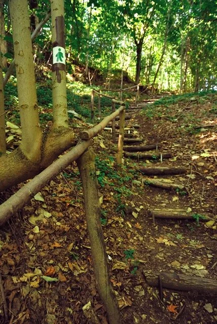 Lesní stezka se dřevěnými schody a turistickým značením
