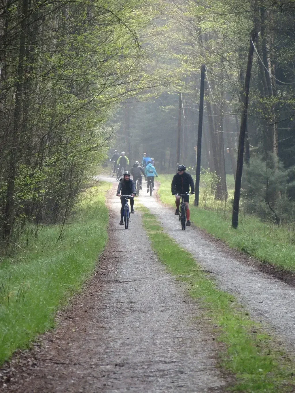 Skupina cyklistů na lesní cestě mezi stromy