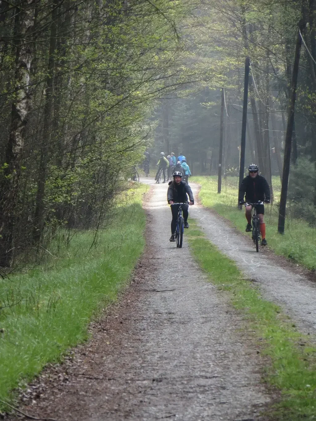 Dva cyklisté projíždějí zamlženou lesní cestou