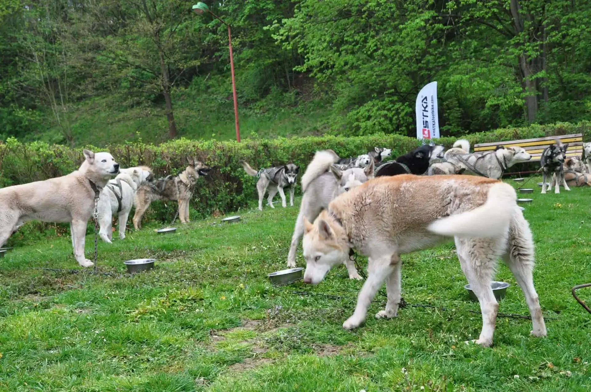 Lidé sedící u pivních stolů na červené antukové ploše před sportovním areálem, v pozadí zaparkovaná kola u živého plotu.