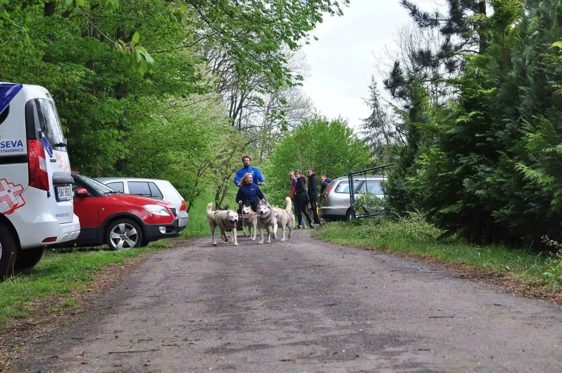 Čtveřice huskyů běží po asfaltové cestě mezi zaparkovanou dodávkou a auty, za nimi je řídí muž a žena na vozíku, kolem stojí přihlížející