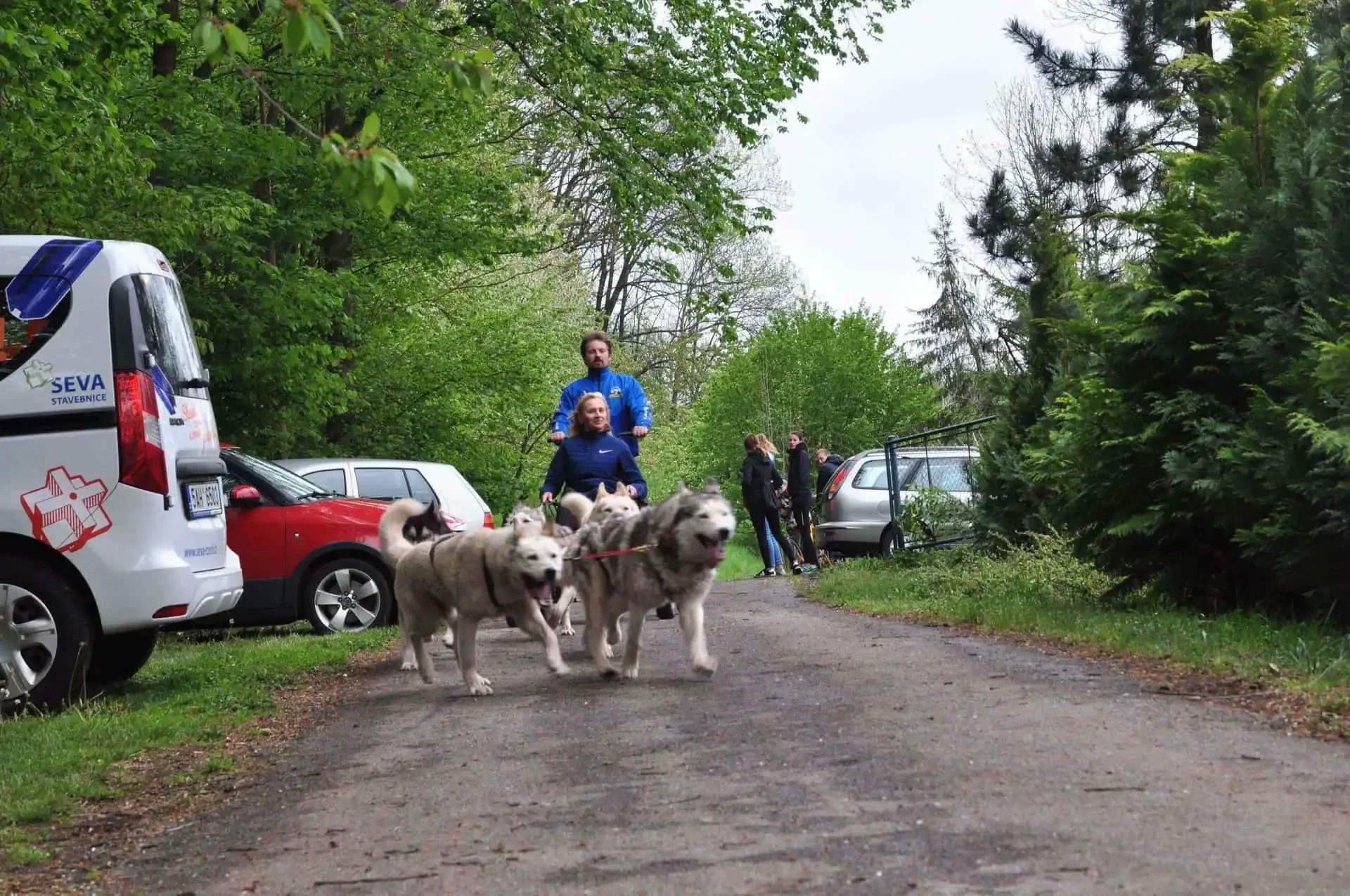 Skupina huskyů táhne vozík s mužem a ženou po lesní cestě kolem zaparkovaných vozidel, v pozadí přihlížející lidé