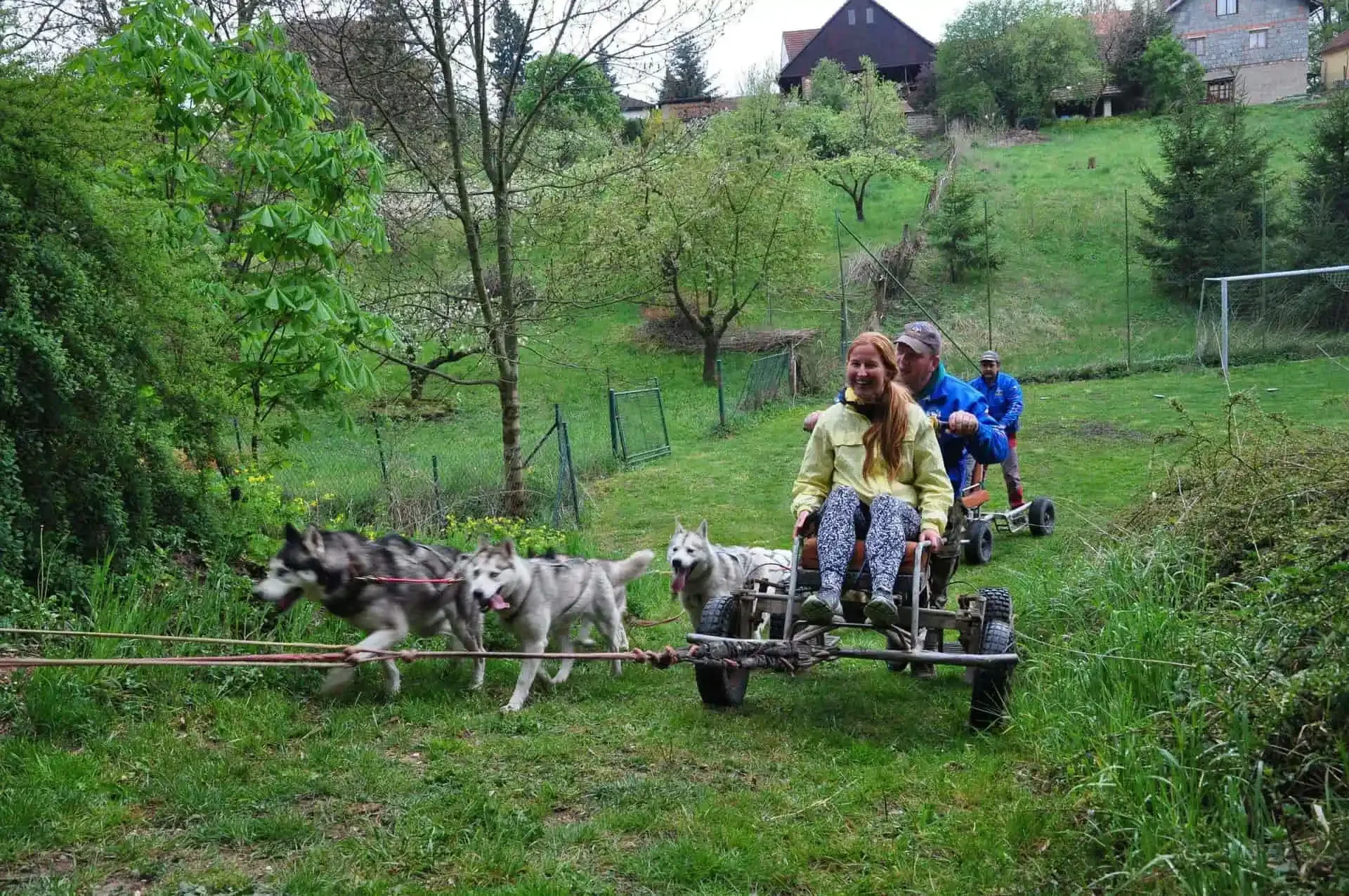 Spřežení huskyů táhne vozík s dívkou v žluté bundě a mužem, v pozadí na dalším vozíku jede třetí muž, kolem zelená louka se zahradami.