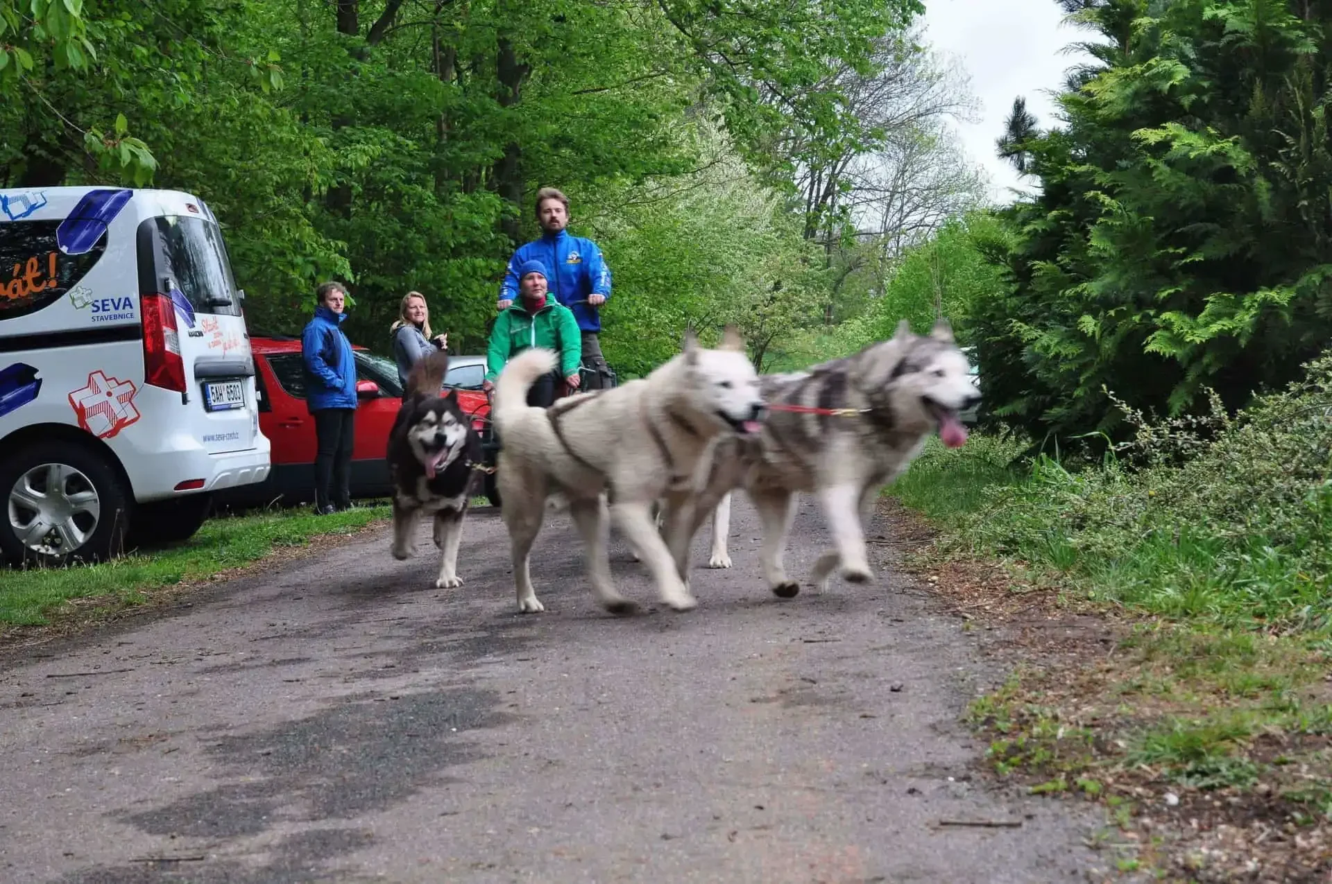 Skupina huskyů jde na vodítkách po lesní cestě kolem dodávky s nápisem SEVA, přihlížejí tři lidé.