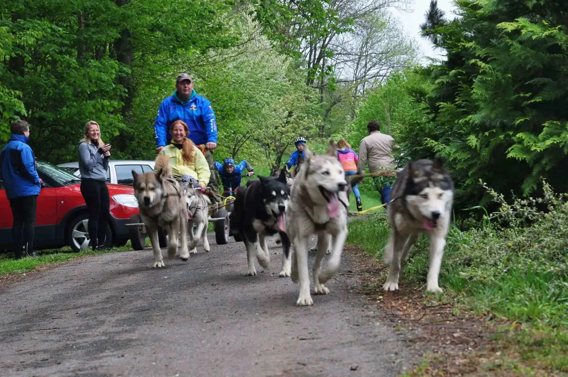 Spřežení huskyů táhne vozík s mužem a ženou v žluté bundě po lesní cestě, za nimi běží dívka v růžové bundě, kolem přihlížejí lidé a cyklisté.