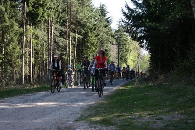 Skupina cyklistů projíždí lesní cestou
