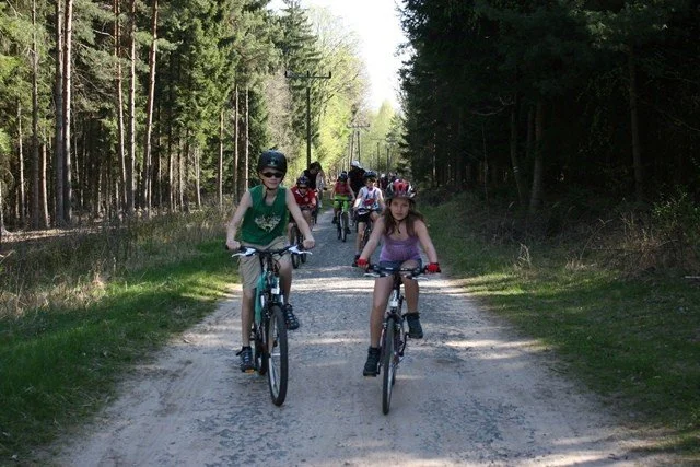 Cyklisté jedou v protisvětle po lesní cestě se stromy