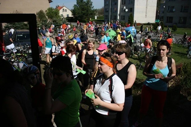 Cyklisté jedou po cestě podél louky