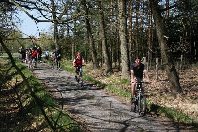 Cyklisté projíždějí lesní cyklostezkou