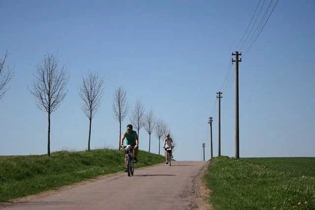 Dva cyklisté jedou po cestě mezi poli